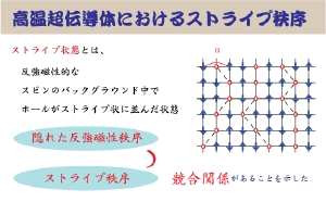 web-fig6.gif