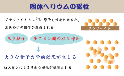 web-fig4.gif